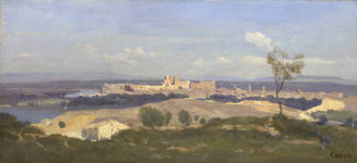 Avignon from the West