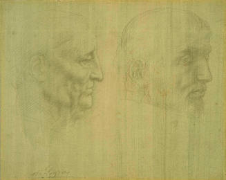 Study of Two Heads