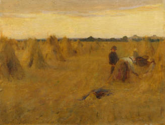 The Cornfield