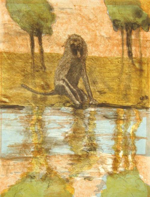 Baboon