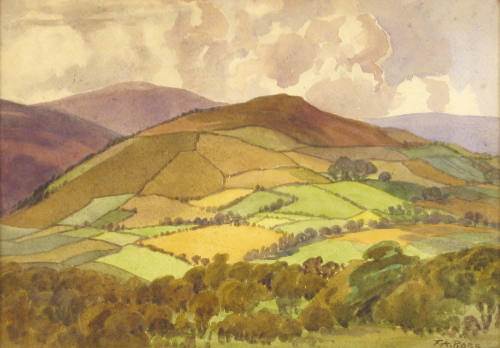 A Hill in Wicklow