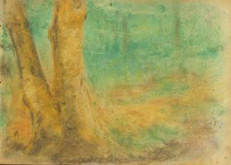 View in a Wood