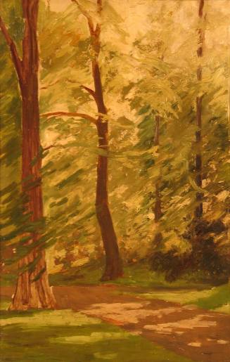 Study of Trees, Viceregal Lodge
