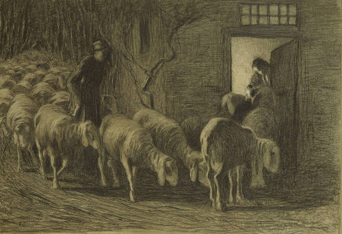 The Sheepfold