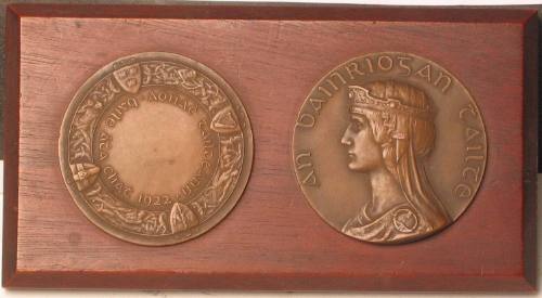 Tailteann Medal in Bronze