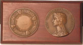 Tailteann Medal in Bronze