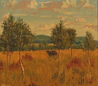 Landscape in County Wicklow