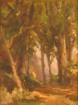 Study of Trees