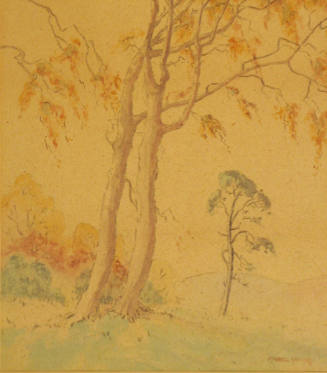Autumn Beech Trees