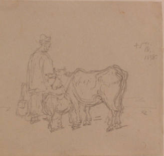 Study of Cattle