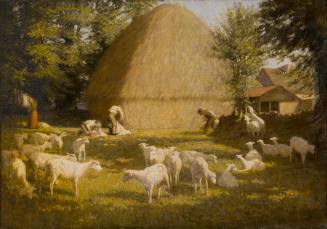 Sheepshearing