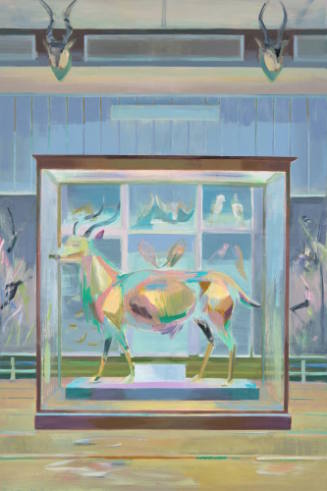 Antelope, Natural History Museum, Dublin