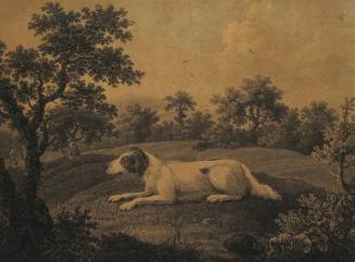 The English Setter by J. Milton, Painter