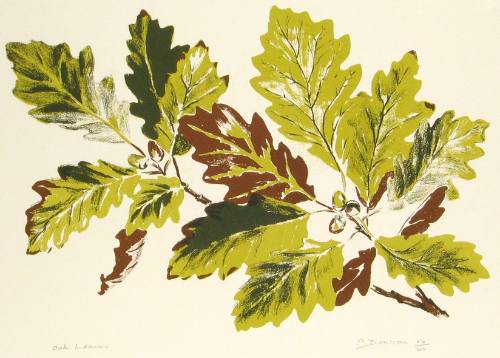 Oak Leaves
