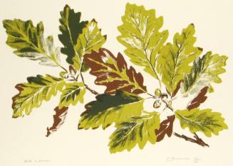 Oak Leaves