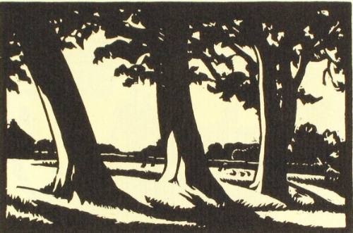 3. Trees at Oxenbridge