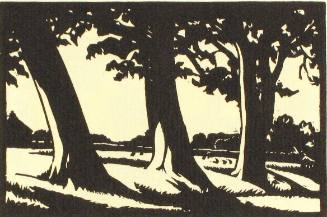 3. Trees at Oxenbridge