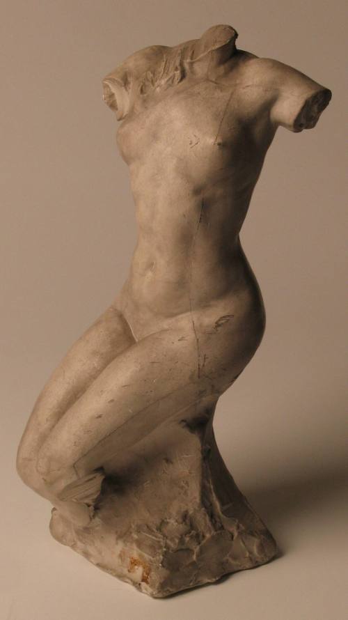 Female Torso (a) Seated