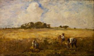 Landscape; The Cornfield