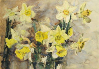 Daffodils