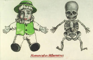 Homuncculus Hibernicus (50/50)