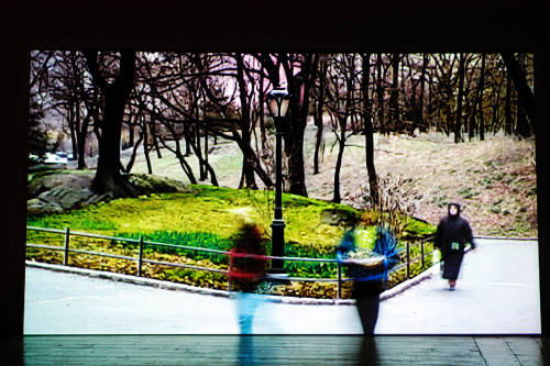 The dene ''vignette"
